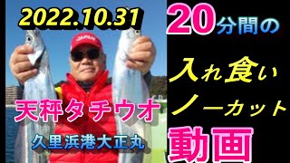 [爆釣の天秤20分間動画ノーカット]一気見2022.10.31久里浜港大正丸