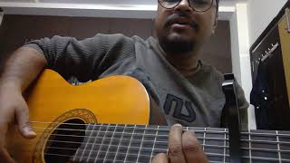 Acoustic Solo Covers - Gang Of Wassepur - Moora