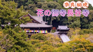 【奈良長谷寺】日本自由行目的地推薦｜長谷寺境内散歩｜花の御寺長谷寺｜