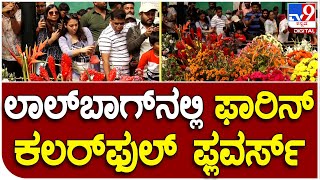 ಗಣರಾಜ್ಯೋತ್ಸವ ಹಿನ್ನೆಲೆ Lal Bagh Flower ಶೋನಲ್ಲಿ ಫಾರಿನ್ ಫ್ಲವರ್ಸ್ ಕಲರವ | #TV9D