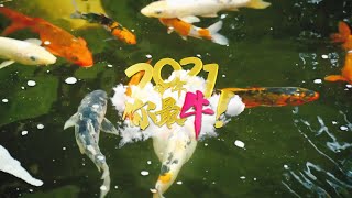 ADVANCE TC 2021贺岁歌曲 ||今年你最牛||《官方MV》