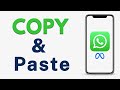 How to Copy and Paste in WhatsApp - Full Guide