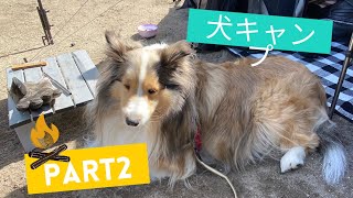 サイドカーで行くキャンプツーリング　#1「犬キャンプ」後編