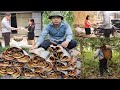 [FULL VIDEO] Harvesting Cinnamon and Catching Snakes to Cook - Ly Manh Quynh