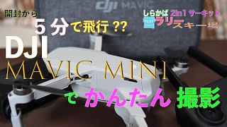 【Mavic Mini/空撮】5分できる!? 超かんたん ドローン DJI Mavic Mini で、上空からの  雪景色を撮影