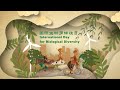 International Day for Biological Diversity animation 国际生物多样性日