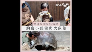 海洋公園全新活動   約會小狐獴與大象龜！｜shemom