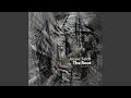 The Root