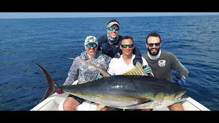 Oman monster Tuna  fishing 92kg ,  Oman , Big F Encounters