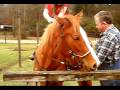 lilly getting a horse for christmas