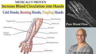 കൈകളിലേക്കുള്ള രക്ത വിതരണം വർദ്ധിപ്പിക്കുന്നതിനുള്ള തന്ത്രങ്ങൾ (ജലദോഷം, വിറയൽ, കൈകളിലെ മരവിപ്പ്) - ഡോ. മാൻഡൽ, ഡിസി