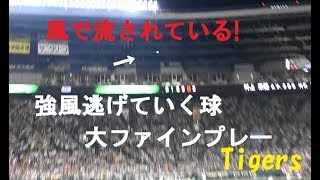 阪神 近本 光司『ただのﾌｧｲﾝﾌﾟﾚｰではない! 強風逃げていく球 大ﾌｧｲﾝﾌﾟﾚｰでした 』vs 東京ヤクルト 2019年5月23日甲子園球場