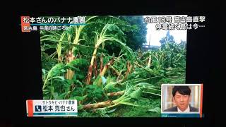 宮古島　台風　２０１７年９月１３日　報道ステーション