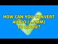 How can you convert audio (3.5mm) to S/PDIF? (2 Solutions!!)