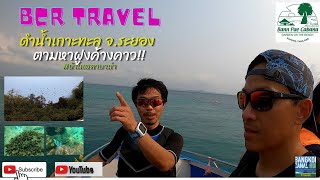 BCR Travel ดำน้ำเกาะทะลุ จังหวัดระยอง ตามหาค้างคาว #bannpaecabana #บ้านเพคาบาน่า #ระยอง #เกาะทะลุ