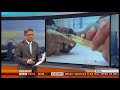 World's longest fingernails cut off after 66 years (India) - BBC News - 13th July 2018