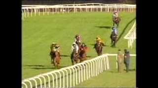 1994 Ritz Club National Hunt Handicap Chase