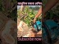 modern tree cutting machine চায়না আধুনিক মেশিন