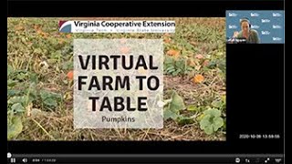 Virginia Virtual Farm to Table:  Pumpkins