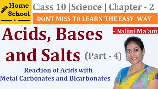 Acids Bases and Salts  | Class 10 Chemistry | Part-4