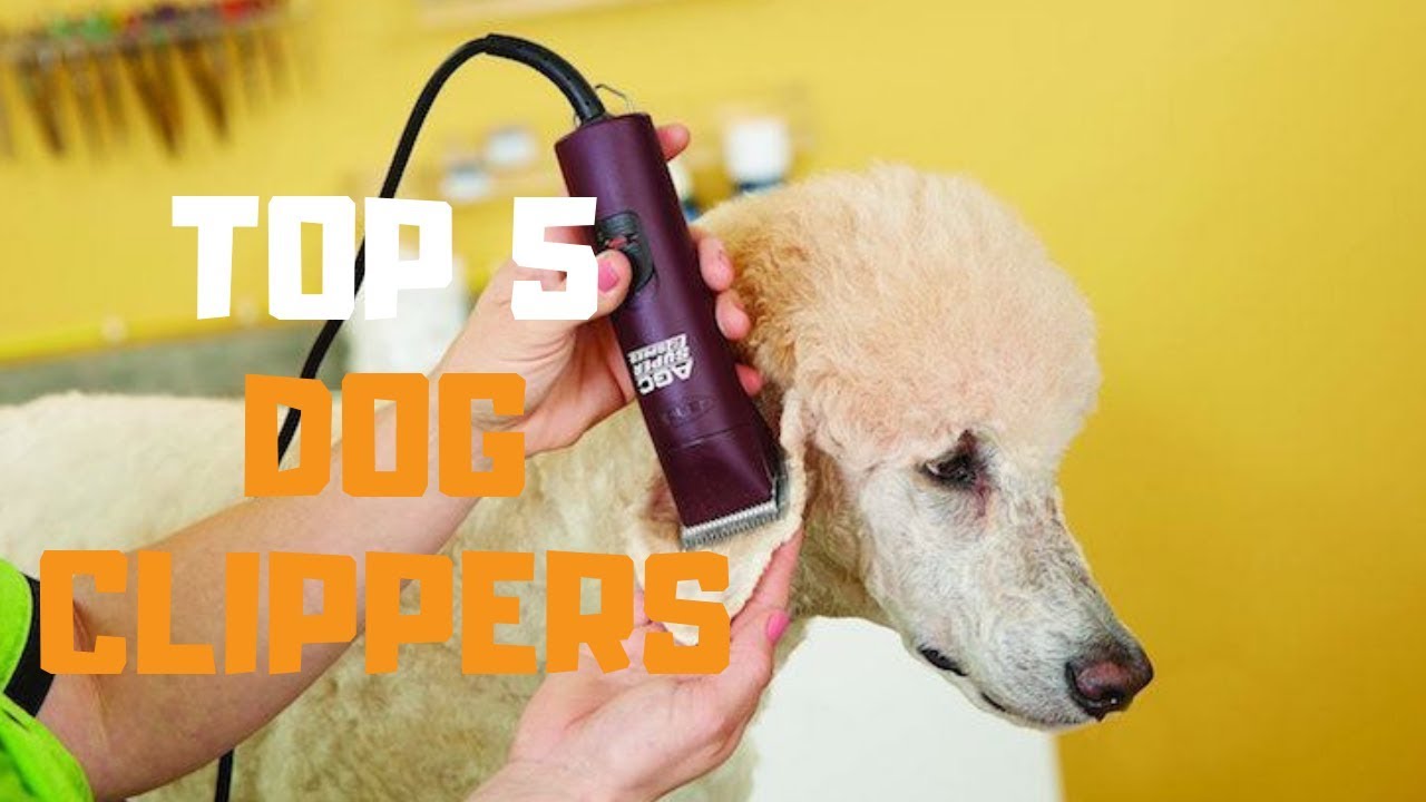 Best Dog Clippers In 2019 - Top 5 Dog Clippers Review - YouTube