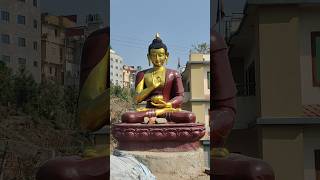 New Buddha Statue at Sano thimi road Bhaktapur #buddha #bhaktapur #ilovemybhaktapur