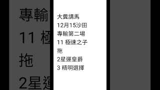 大糞講馬 專輸第二場 12月15 沙田賽馬貼士