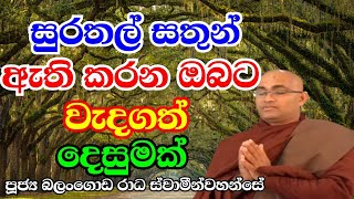 සුරතල් සතුන් ඇති කරන ඔබට වැදගත්. පූජ්‍ය බලංගොඩ රාධ ස්වාමීන්වහන්සේ. @Sermonsofsathyadharma