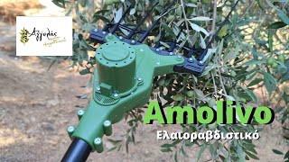 ΡΑΒΔΙΣΤΙΚΟ ΑΓΓΕΛΗΣ new AMOLIVO