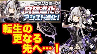 【パズドラ】超転生進化！ 動くハクちゃん！ 裏闘技場