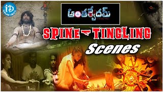 Antharvedam Spine -Tingling Scenes | Antharvedam Movie Scenes | iDream Media