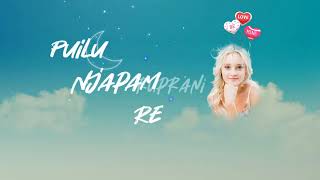 💕Puiilu njapam re new santali status video 2022