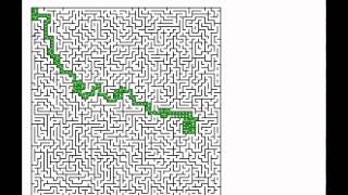 Algorithm (Java) Solves Braid Maze (fast)