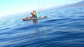 ３月下旬　サップでアマダイを狙う　釣った魚は酢締めや松笠揚げに