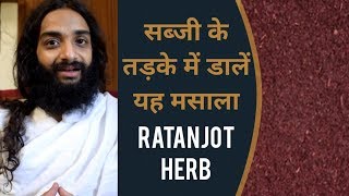 सब्जी के तड़के में डालें ये मसाला पेट रहेगा खुश चेहरा चमकदार | RATANJOT HERB BENEFITS \u0026 USES