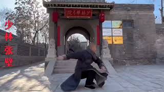 Shaolin Warrior Monk daily practice 少林武僧日常训练