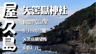 【屋久島旅】屋久島はどこもかしこも美しい！民宿やくしま家さんからガジュマル公園、矢筈岳と矢筈獄神社へ