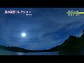 【東金の風景 8月】 4k 夏の夜景コレクション／東金市