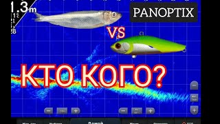 Снасточка vs раттлин. Конец октября.