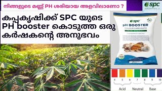 കപ്പ കൃഷിക്ക് 🍀🌿🌿 SPC യുടെ  PH.പി എച്ച് ബൂസ്റ്റർ ഉപയോഗിച്ച ഒരു കർഷകന്റെ അനുഭവം#soil #farming