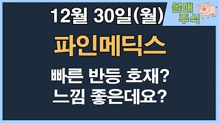 [파인메딕스] 빠른 반등 호재? 느낌 좋은데요?