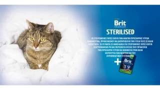 BRIT PREMIUM CAT