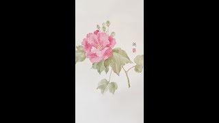 中国水墨画：芙蓉花  #Shorts 没骨画法   _ 国画 _ 手绘