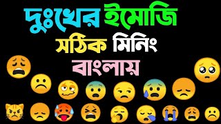 Sad Emoji Meanings bangla | দুঃখের ইমোজি সঠিক মিনিং বাংলায়