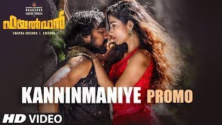 Kanninmaniye Song Promo | Pailwaan Malayalam | Kichcha Sudeepa | Krishna | Arjun Janya