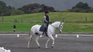 Saltaire Mazel Tov Horowhenua Dressage Test 1C