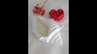 DIY candle in a shell