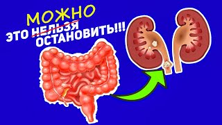 Врачи Ошибались! Сенсационные Выводы Учёных! / ПОЧКИ КИШЕЧНИК