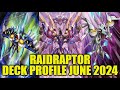 RAIDRAPTOR DECK PROFILE (JUNE 2024) YUGIOH!