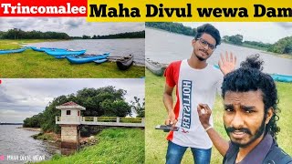 பெரிய விளாங்குளம் | Maha Divul wewa | Trincomalee #tamilvlog #shen #village #srilanka #shenthuran